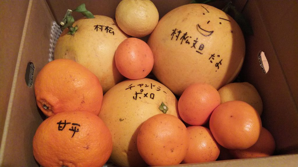 文旦