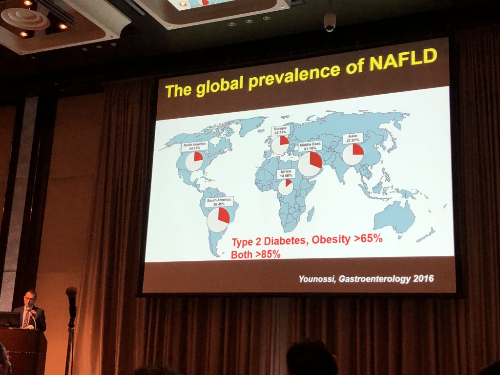 NAFLD ミラノ人発表