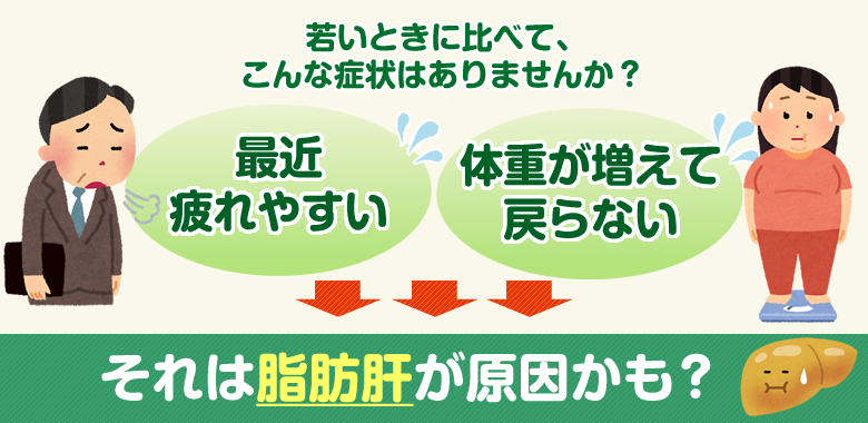 「最近疲れやすい…」、「体重が増えて戻らない」それは脂肪肝が原因かも