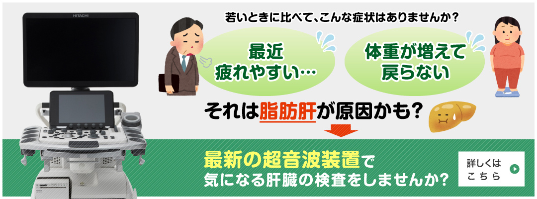 最新の超音波装置で気になる肝臓（脂肪肝・炎症・硬さ）の検査をしませんか？